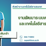 ข้อมูลพี่เต่า