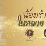 244767824_963614357522816_7660431834615136999_n