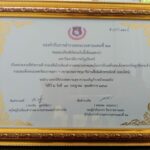 274791800_7485924038099202_7014390821072150707_n